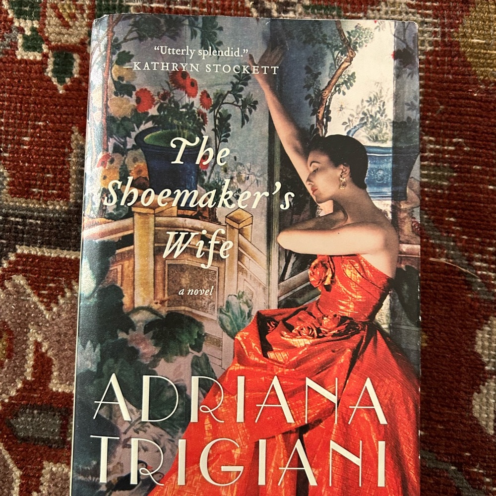 The Shoemaker's Wife Novel